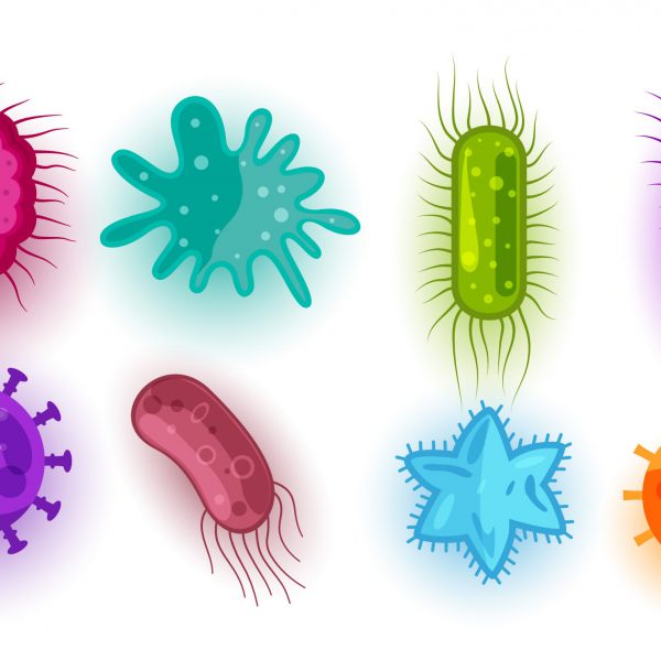 set of different virus and bacteria shapes